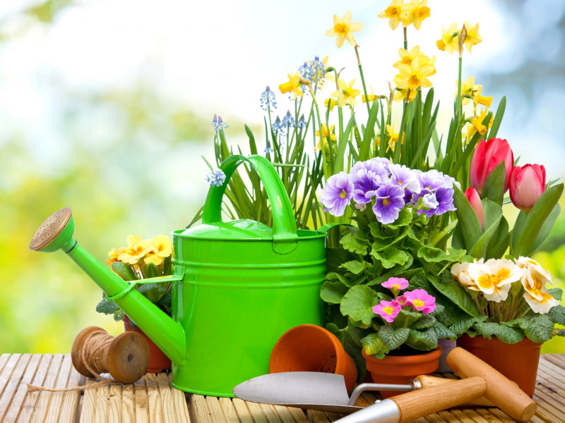 TBD Annual Spring Beautification Day